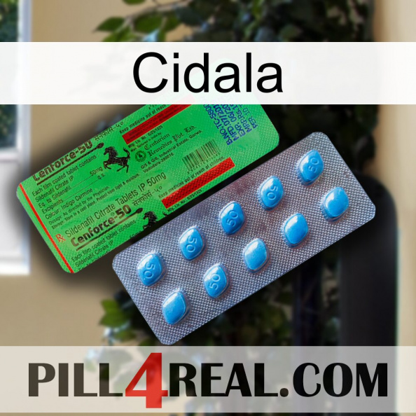 Cidala new03